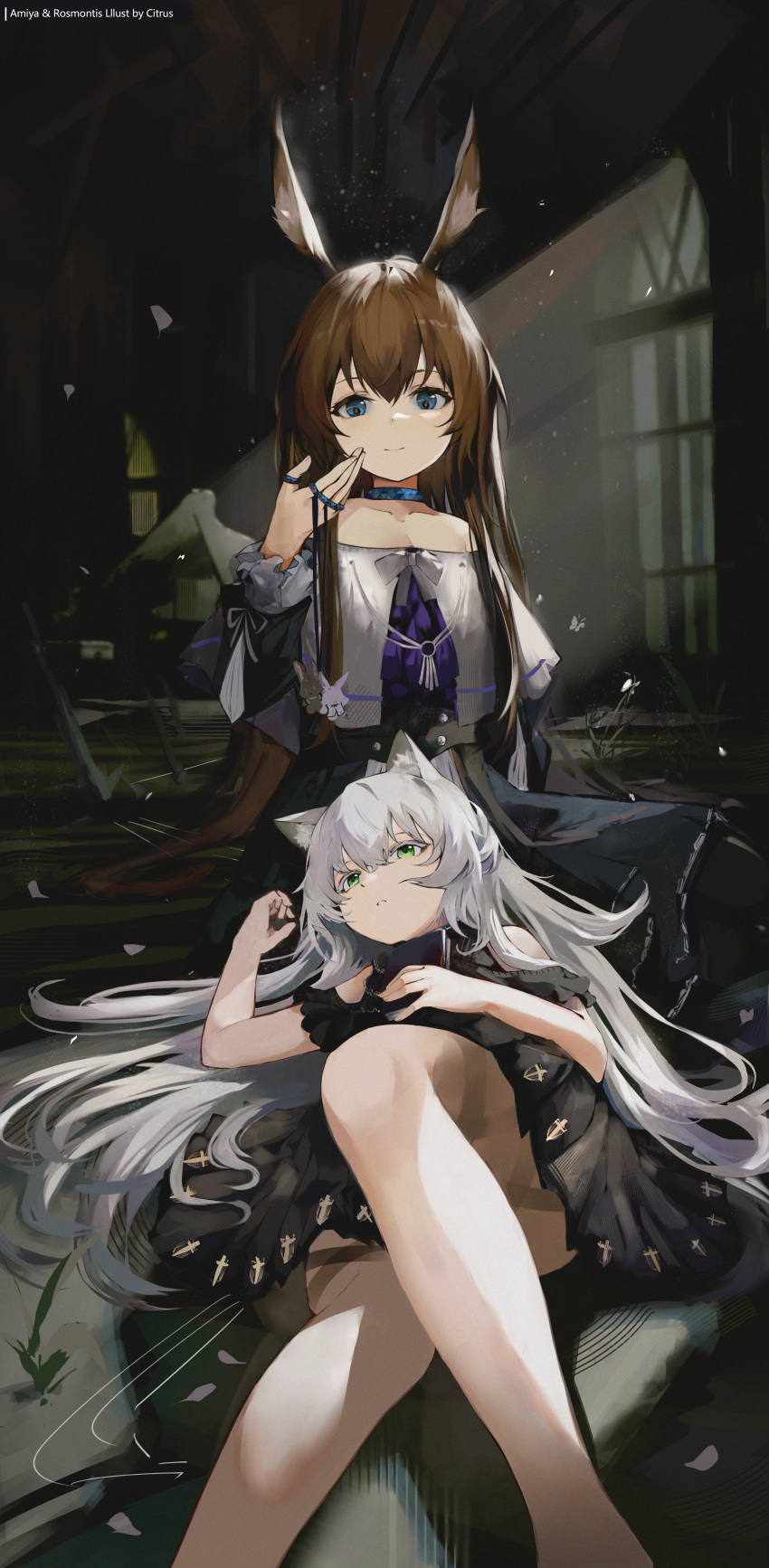 2girls, absurdres, alternate_costume, amiya_(arknights), animal_ears, arknights, black_skirt, blue_collar, blue_eyes, bow, bowtie, brown_hair, cat_ears, cat_girl, citrus_(pixiv_32844232), collar, eyebrows_visible_through_hair, green_eyes, grey_hair, hair_between_eyes, hand_up, highres, jewelry, knee_up, lap_pillow, light_rays, long_hair, looking_at_viewer, lying, multiple_girls, multiple_rings, off-shoulder_shirt, off_shoulder, on_back, rabbit_ears, rabbit_girl, ring, rosmontis_(arknights), shirt, sitting, skirt, smile, thumb_ring, very_long_hair, white_bow, white_bowtie, white_shirt, window