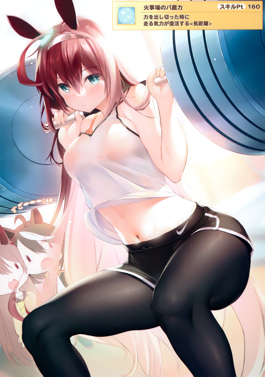 3girls, absurdres, animal_ears, bangs, barbell, black_legwear, blue_eyes, blush