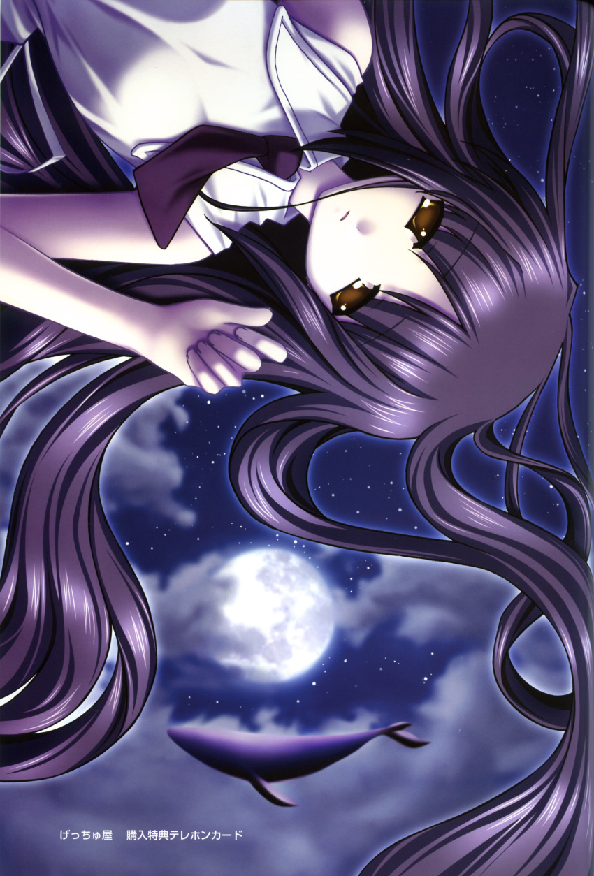 kujira_no_shoujo, saishuu_shiken_kujira, tagme