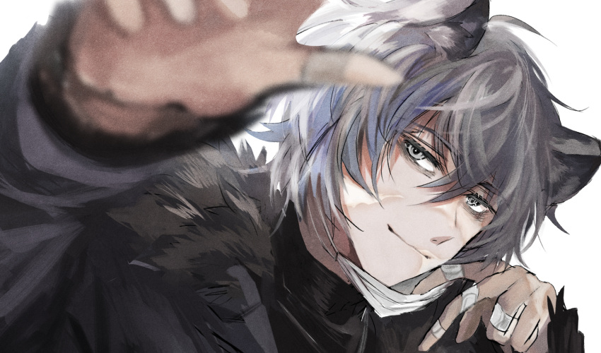 1boy, animal_ears, arknights, bags_under_eyes, bandaid, bandaid_on_hand, bear_boy, bear_ears