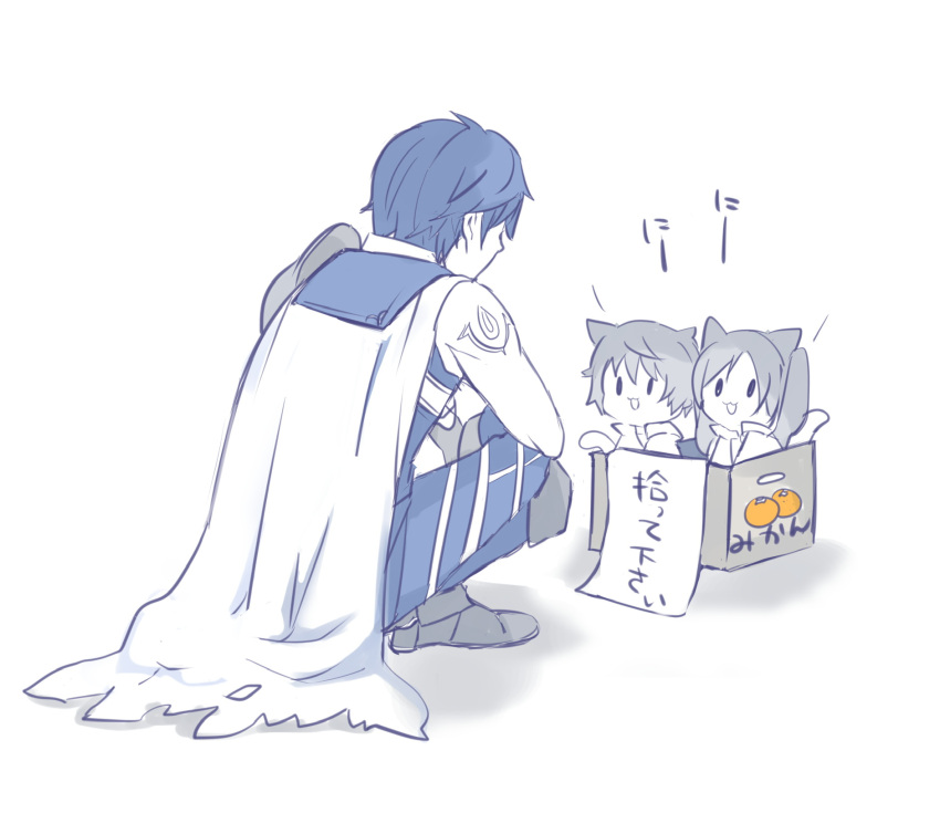 1girl, 2boys, animal_ears, armor, blue_hair, box, cape, cat_ears