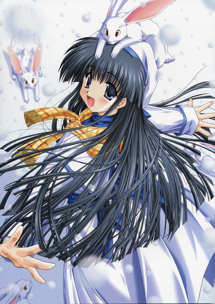 asuka_pyon, snow_(game), tagme, yukizuki_sumino