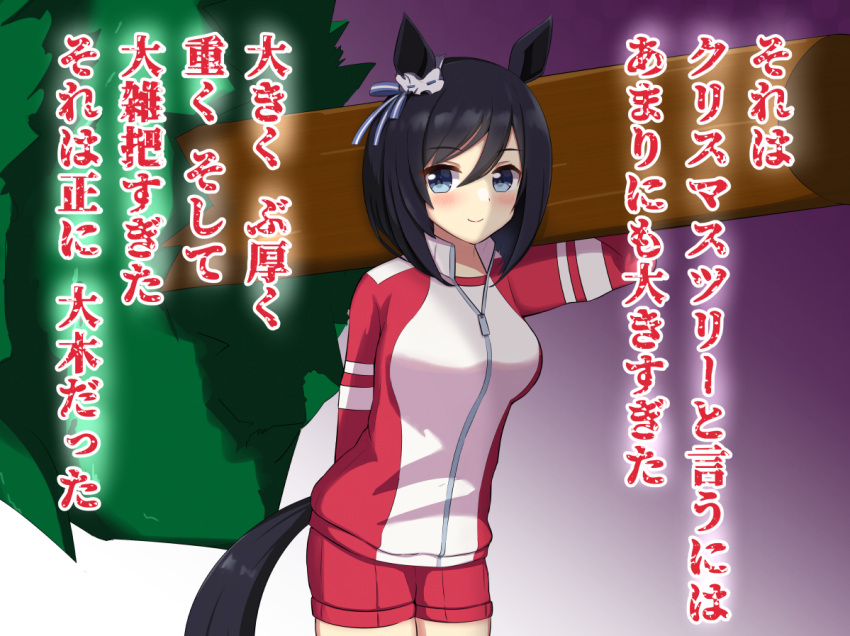 1girl, animal_ears, bangs, black_hair, blue_eyes, blush, breasts, carrying_over_shoulder