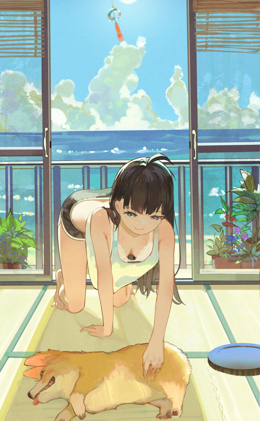 1girl, ahoge, all_fours, bangs, black_hair, black_shorts, blue_eyes, blue_sky