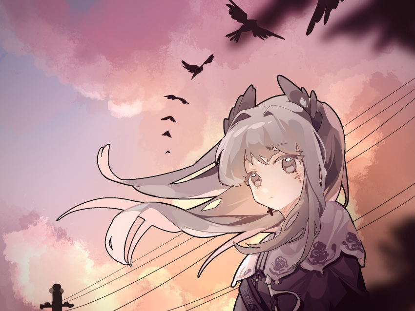 1girl, arknights, bird, black_jacket, brown_eyes, capelet, chinese_commentary, closed_mouth, commentary_request, day, earrings, floating_hair, grey_hair, head_wings, highres, irene_(arknights), jacket, jewelry, long_hair, looking_at_viewer, orange_sky, outdoors, power_lines, saucer_(saucer752), scar, scar_across_eye, scar_on_face, shoulder_strap, sky, solo, sword, sword_hilt, upper_body, weapon, white_capelet, wind