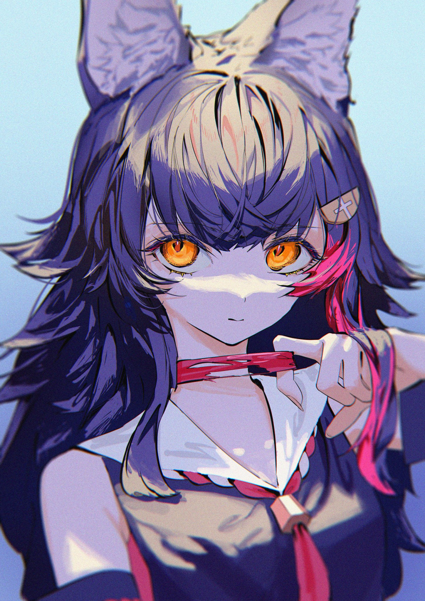 1girl, animal_ear_fluff, animal_ears, bangs, black_hair, black_shirt, choker, closed_mouth