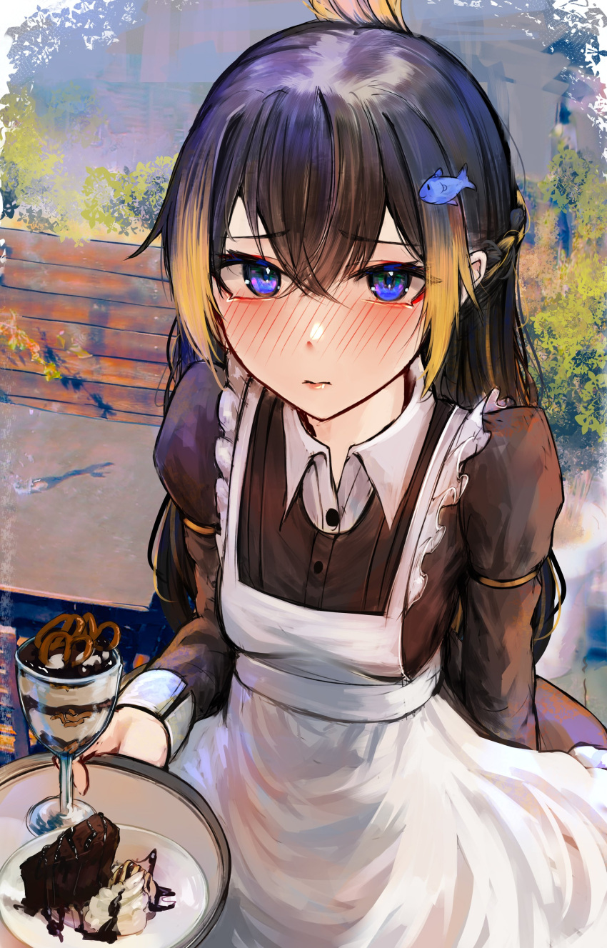 absurdres, alternate_hairstyle, apron, bench, black_dress, black_hair, blue_eyes, blurry, blurry_background, blush, braid, cake, chocolate_cake, collared_shirt, dress, embarrassed, fish_hair_ornament, food, french_braid, hair_ornament, highres, holding, holding_plate, long_hair, long_sleeves, looking_at_viewer, maid, maid_day, milkshake, multicolored_hair, naokomama, nijisanji, nijisanji_en, obsydia_(nijisanji), orange_hair, penguin_girl, petra_gurin, plate, shirt, virtual_youtuber, white_apron, white_shirt