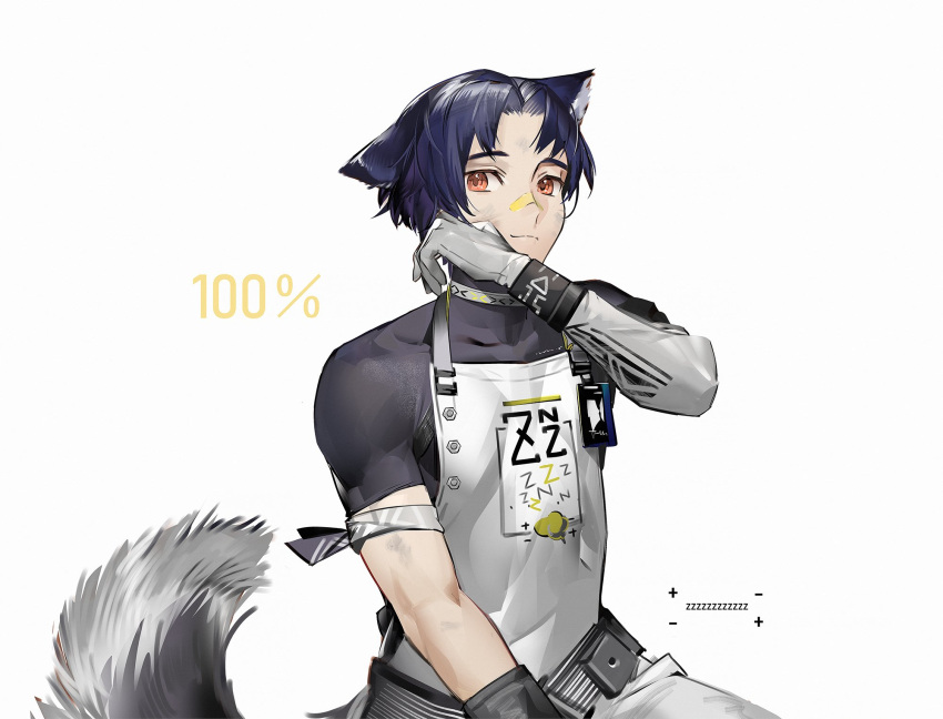 1boy, animal_ears, apron, arknights, armband, bandaid, bandaid_on_face, bandaid_on_nose