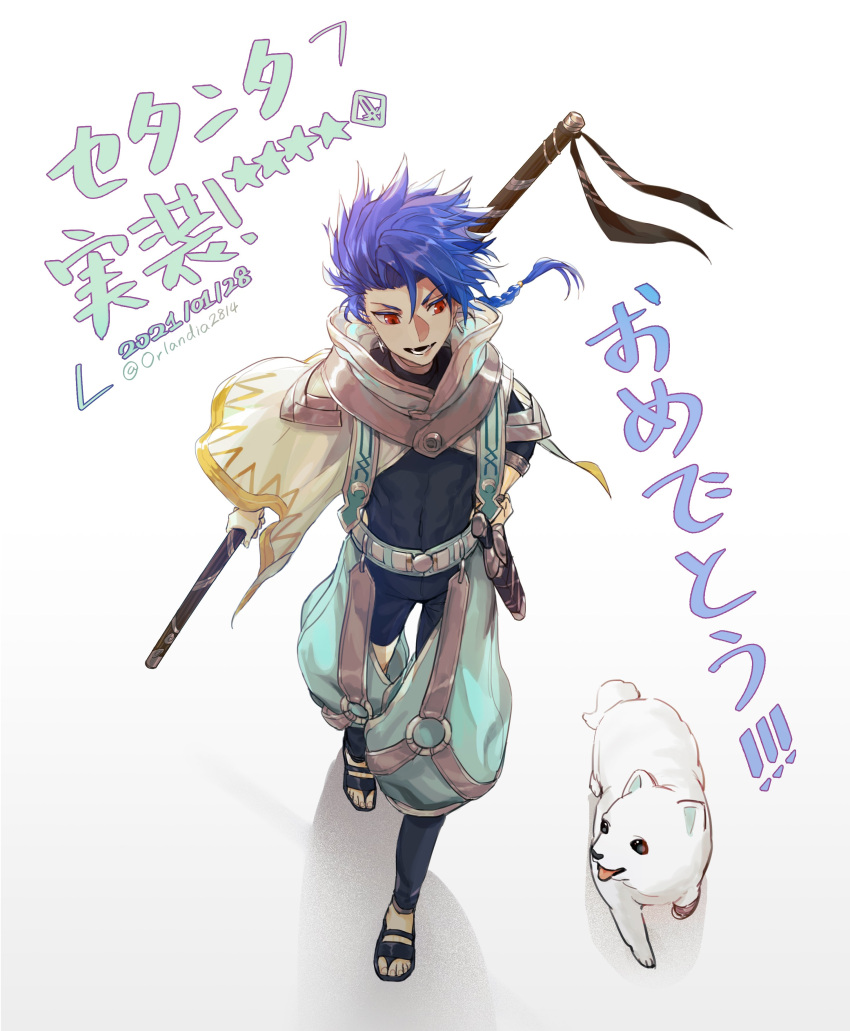 1boy, 1other, absurdres, animal, asymmetrical_bangs, asymmetrical_clothes, bangs, belt, blue_hair, bodysuit, bodysuit_under_clothes, braid, braided_ponytail, capelet, cu_chulainn_(fate), dagger, dog, earrings, fate/grand_order, fate/grand_order_arcade, fate_(series), floating_hair, full_body, high_collar, highres, holding, holding_polearm, holding_staff, holding_weapon, inch2814, jewelry, knife, leg_warmers, long_hair, male_focus, open_mouth, polearm, ponytail, puffy_pants, puppy, red_eyes, sandals, scabbard, setanta_(fate), sheath, simple_background, skin_tight, smile, spiky_hair, staff, weapon, white_background