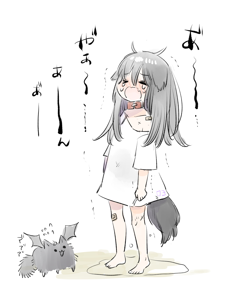 >_<, 1girl, animal, animal_collar, animal_ears, bandaid, bandaid_on_shoulder, barefoot, blush, collar, crying, cuts, ears_down, fang, flying_sweatdrops, grey_hair, highres, injury, medium_hair, mito_(go!go!king!), naked_shirt, open_mouth, original, pee, peeing, peeing_self, puddle, shirt, shirt_grab, sketch, skin_fang, tail, tears, trembling, wolf, wolf_ears, wolf_girl, wolf_tail