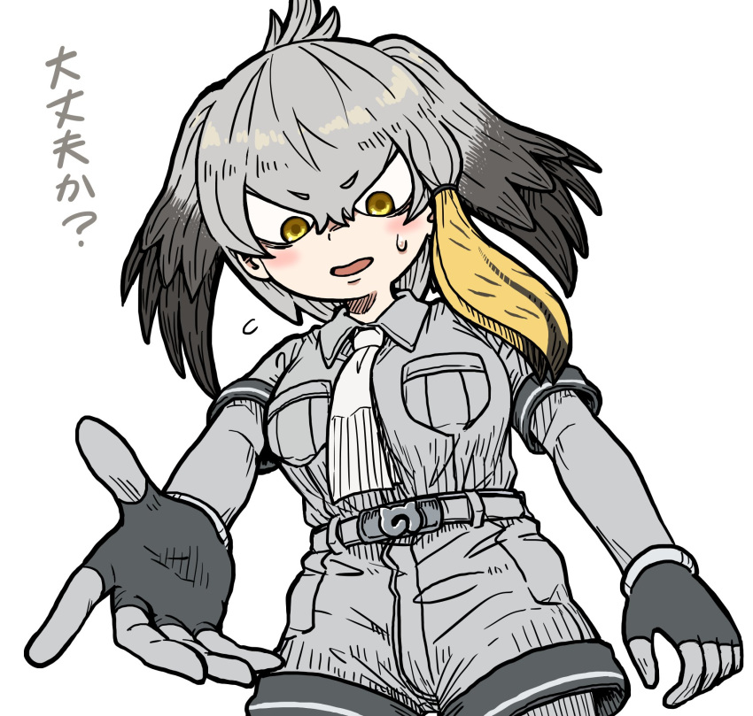 1girl, belt, black_hair, bodystocking, breast_pocket, breasts, bseibutsu, collared_shirt