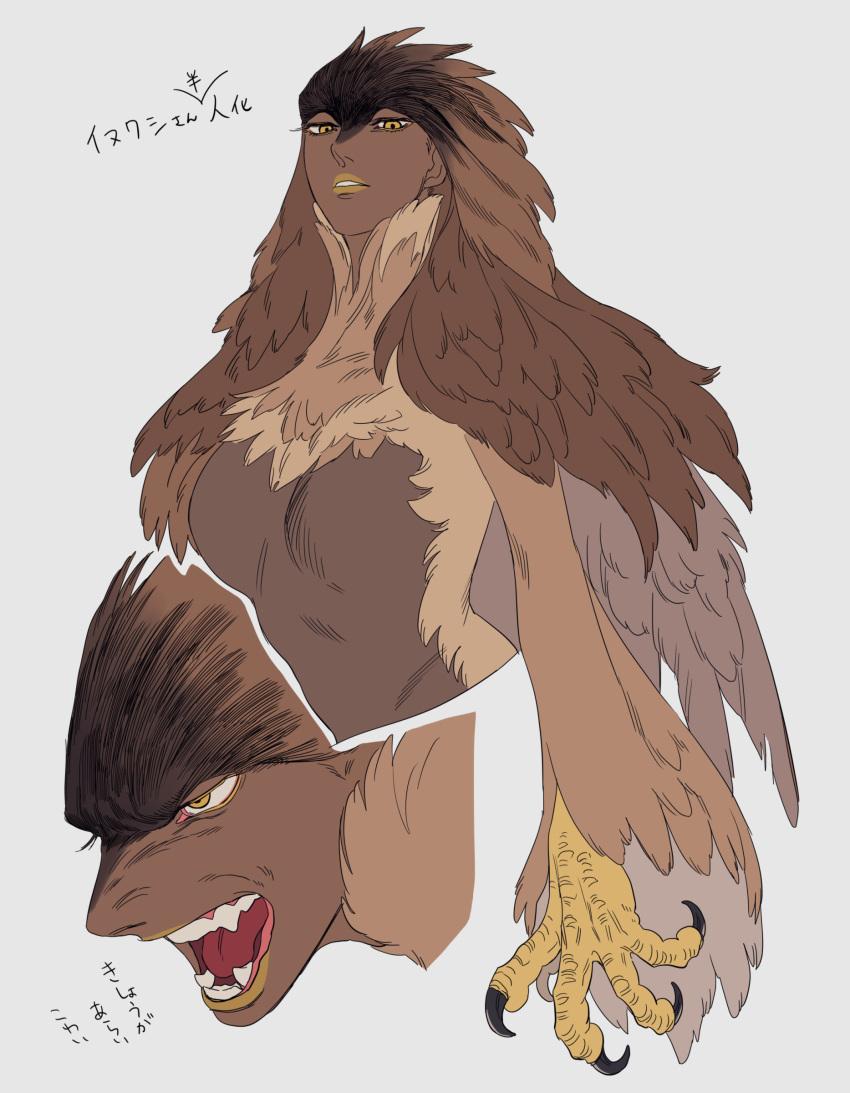 1girl, absurdres, bird, bird_girl, breasts, cropped_torso, dark-skinned_female, dark_skin