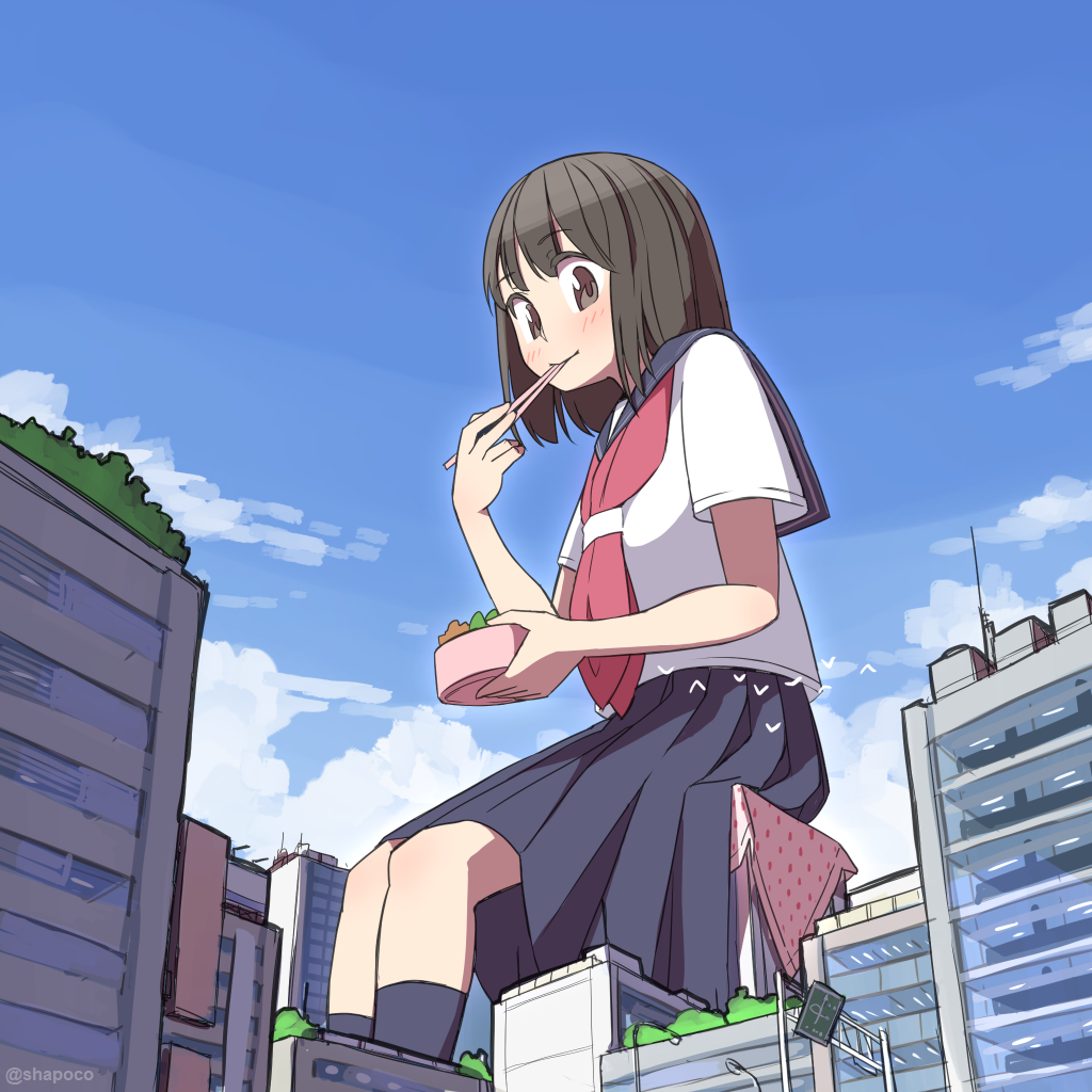 1girl, artist_name, bangs, bento, bird, black_legwear, blue_sky, blush