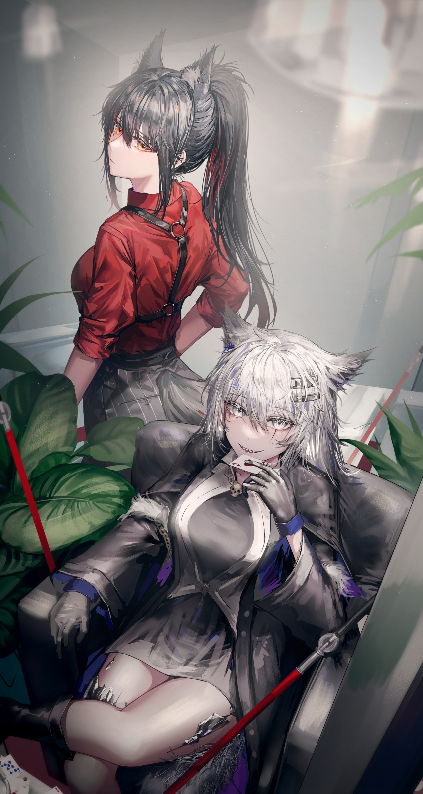 2girls, absurdres, ace_of_hearts, akqne, animal_ears, arknights, armchair, black_hair, black_jacket, black_shirt, black_shorts, breasts, card, chair, extra_ears, feet_out_of_frame, from_behind, gloves, grey_eyes, grey_hair, hair_between_eyes, hair_ornament, hairclip, hand_up, heart, highres, holding, holding_card, indoors, jacket, lappland_(arknights), lappland_(refined_horrormare)_(arknights), leaf, long_hair, long_sleeves, looking_at_viewer, medium_breasts, multicolored_hair, multiple_girls, official_alternate_costume, open_clothes, open_jacket, oripathy_lesion_(arknights), parted_lips, plant, ponytail, red_gloves, red_shirt, redhead, scar, scar_across_eye, seven_of_spades, sharp_teeth, shiny, shiny_hair, shirt, shorts, sidelocks, skull_ornament, sleeves_past_elbows, streaked_hair, striped, striped_shorts, sword, tail, tail_through_clothes, teeth, texas_(arknights), texas_(willpower)_(arknights), watch, watch, weapon, wolf_ears, wolf_girl, wolf_tail, yellow_eyes