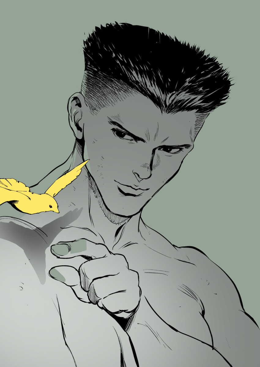 1boy, bare_shoulders, bird, highres, jugemt, lips, male_focus, muscular