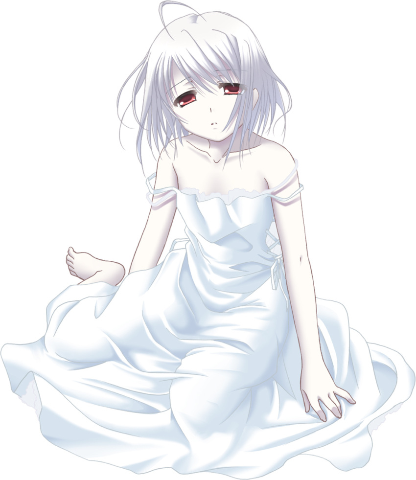 rino, tagme, white_clarity, white_clarity_(circle)