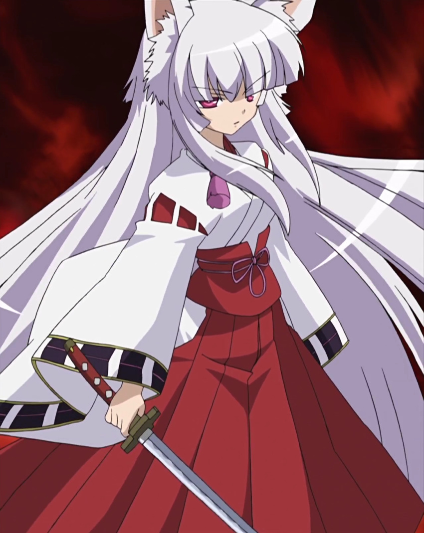 animal_ears, cap, macademi_wasshoi, miko, miyabi_(macademi_wasshoi), nekomimi, sword