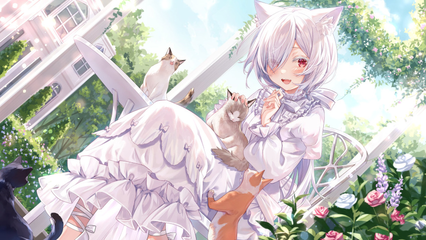 1girl, :d, amagami_nico, animal, animal_ear_fluff, animal_ears, building, cat, dress, fang, flower, frilled_dress, frills, hedge, highres, indie_virtual_youtuber, long_hair, long_sleeves, looking_at_viewer, outdoors, red_eyes, rose, second-party_source, smile, table, tree, virtual_youtuber, white_dress, white_hair, yuya_(night_lily)