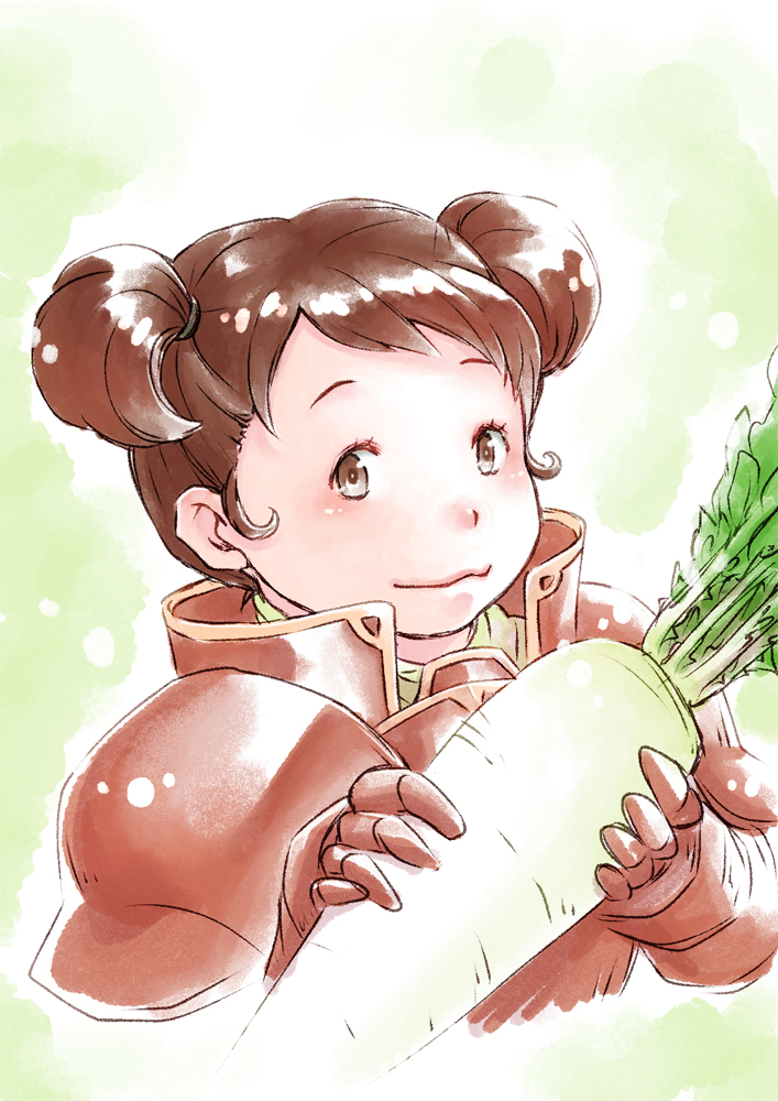 1girl, armor, bangs, brown_eyes, brown_hair, double_bun, ebi_puri_(ebi-ebi), fire_emblem