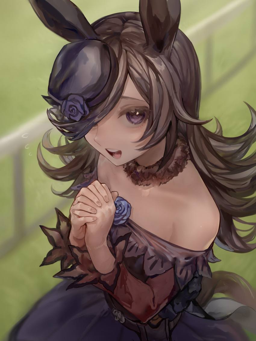 1girl, animal_ears, bare_shoulders, black_hair, blue_dress, blue_flower, blue_rose, dress