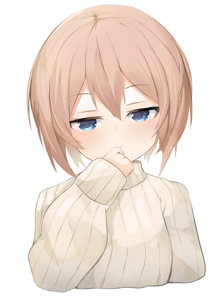 1girl, absurdres, bimmy, blanc_(neptune_series), blue_eyes, brown_hair, highres, long_sleeves