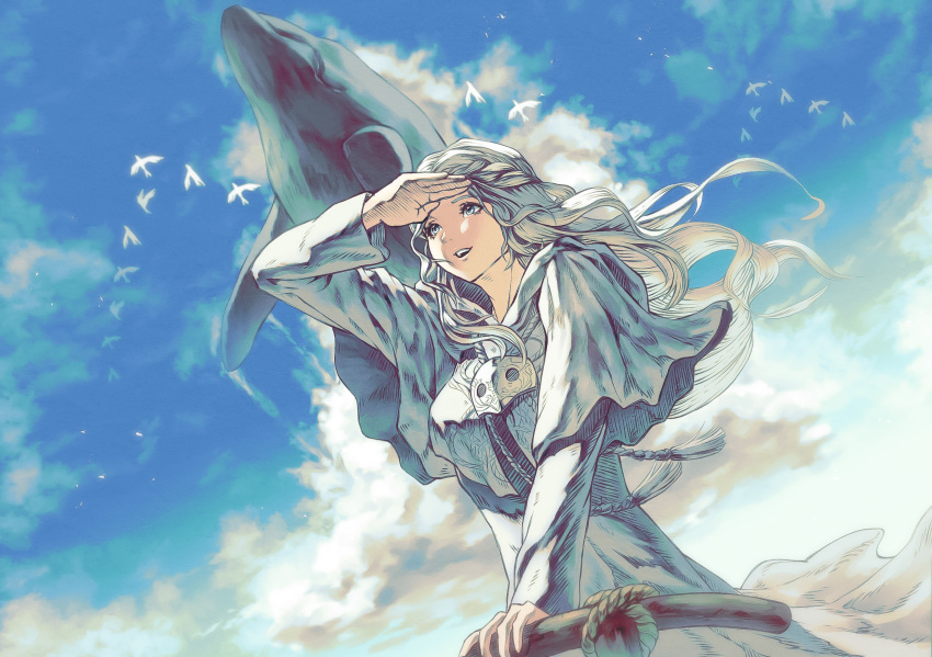 1girl, arm_up, bimel_isabella, bird, braid, capelet, clouds, commentary_request