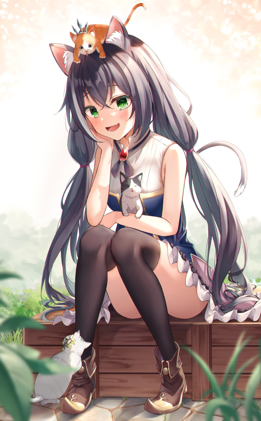 1girl, animal, animal_ear_fluff, animal_ears, animal_on_head, animalization, black_hair, black_legwear