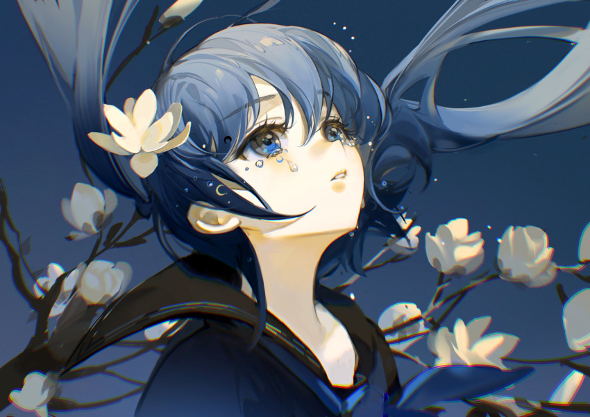 1girl, bangs, black_serafuku, blue_background, blue_eyes, blue_hair, blue_neckerchief, branch