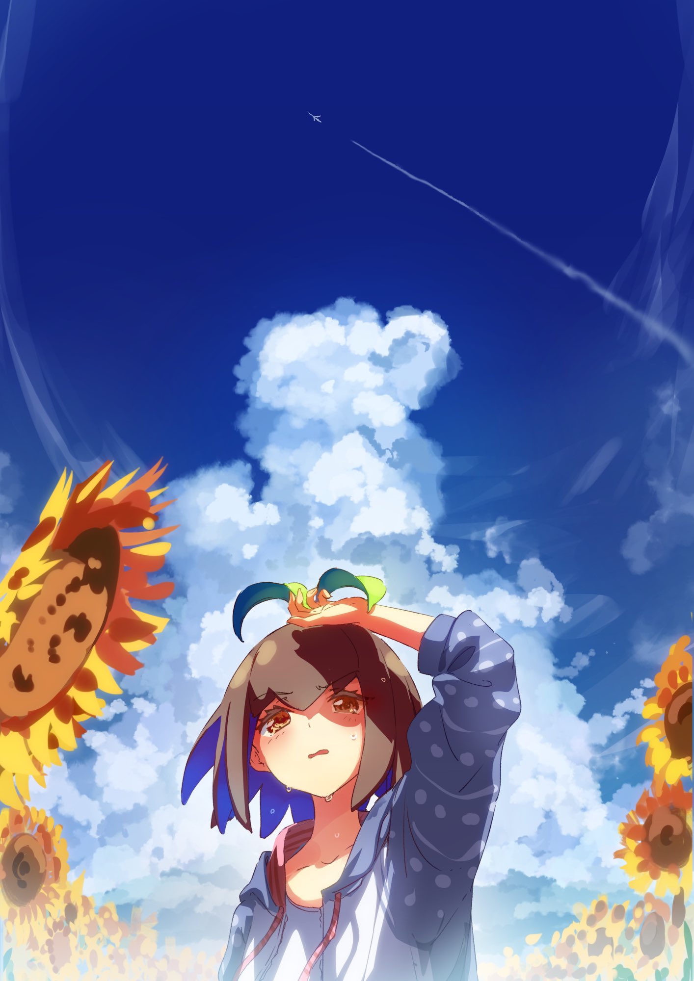 1girl, aircraft, airplane, bangs, brown_hair, contrail, day, eva_mashiro