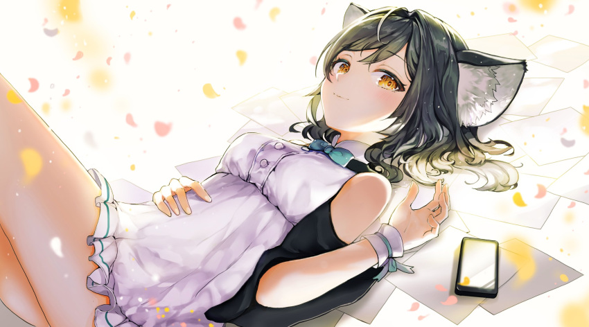 1girl, animal_ears, black_hair, blue_eyes, brown_eyes, cellphone, cloud_horizon, highres