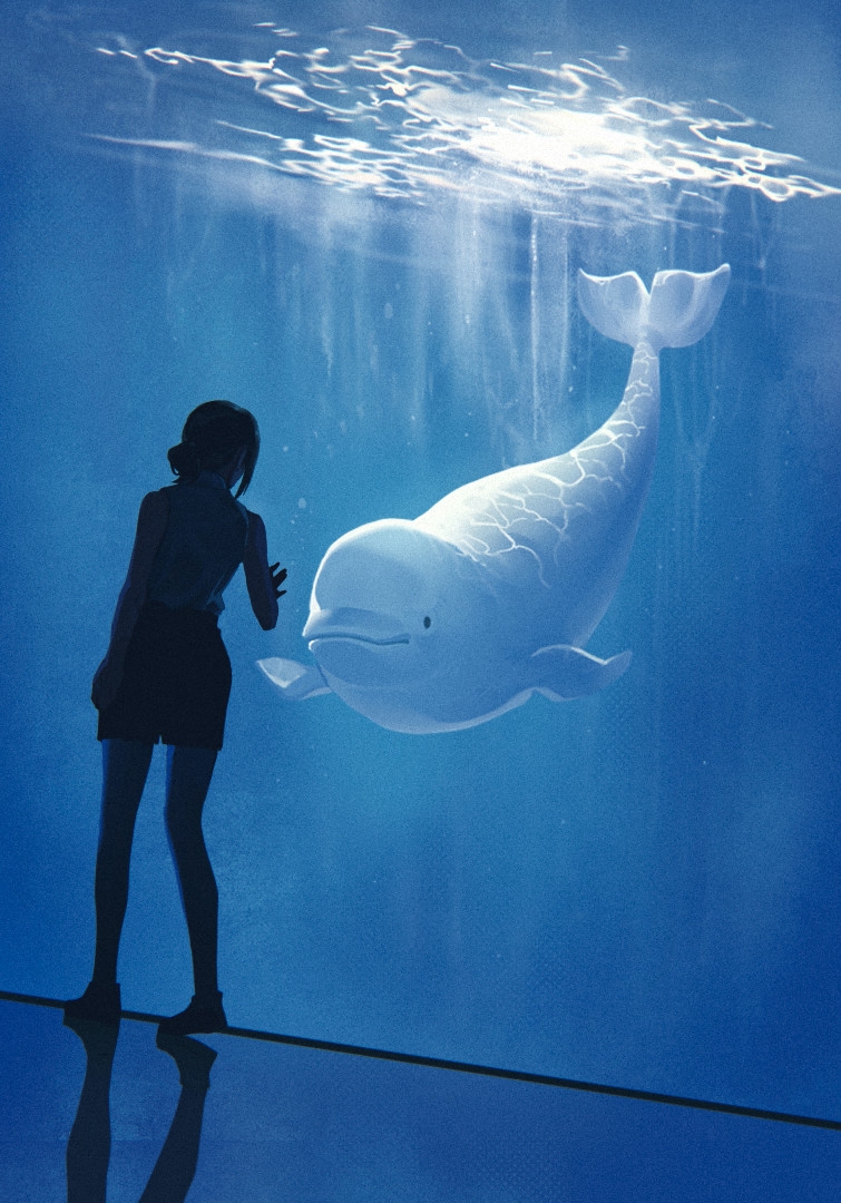 1girl, aquarium, beluga_whale, black_hair, black_plume, black_shorts, chainsaw_man, chinese_commentary