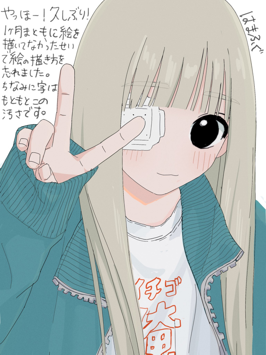 1girl, bangs, black_eyes, blunt_bangs, blush, brown_hair, closed_mouth, eyebrows_visible_through_hair
