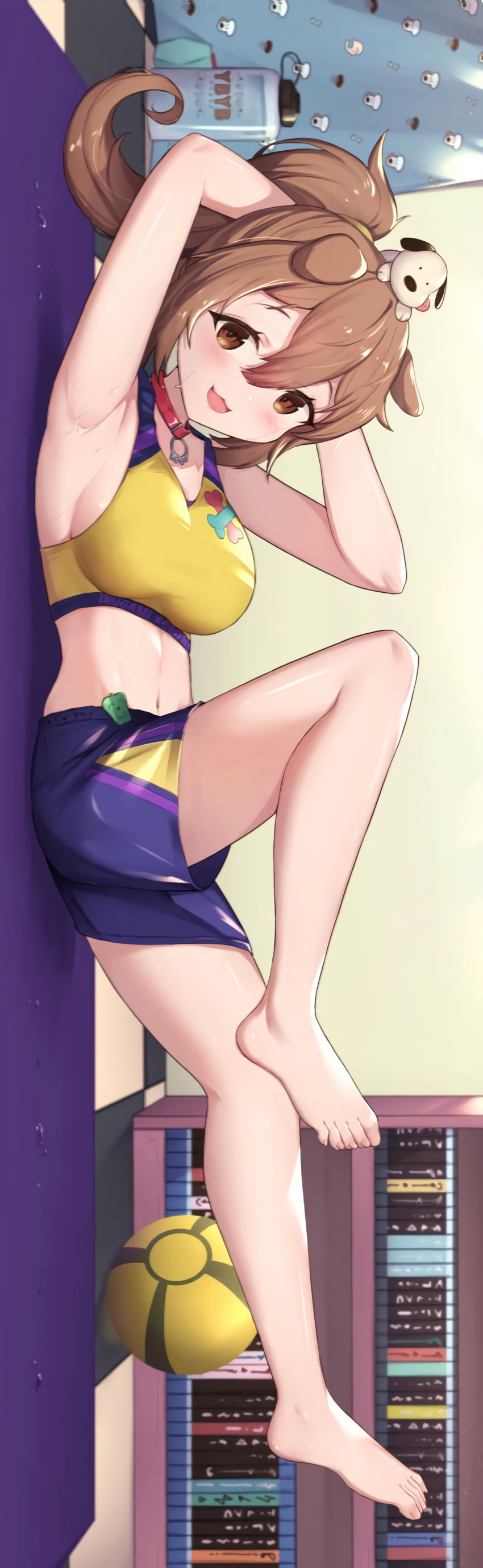 armpits, blush, bookshelf, brown_hair, cropped, dog, dog_ears, dog_girl, highres, hololive, inugami_korone, legs, looking_at_viewer, navel, open_mouth, poke_ball, ponytail, sideways, sports_bra, sportswear, stomach, sweat, sweating_profusely, thighhighs, thighs, vertical, water, yellow_eyes