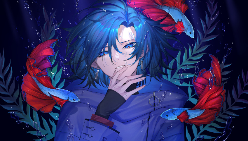 1boy, absurdres, black_hair, blue_eyes, blue_hair, bubble, chocolate4170615, colored_tips