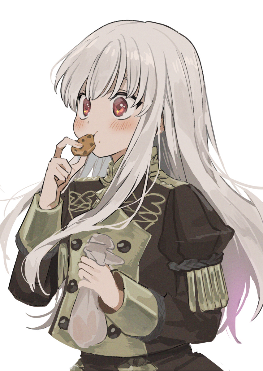 1girl, ayuppe, bag, bangs, blush, chocolate_chip_cookie, cookie, cowboy_shot