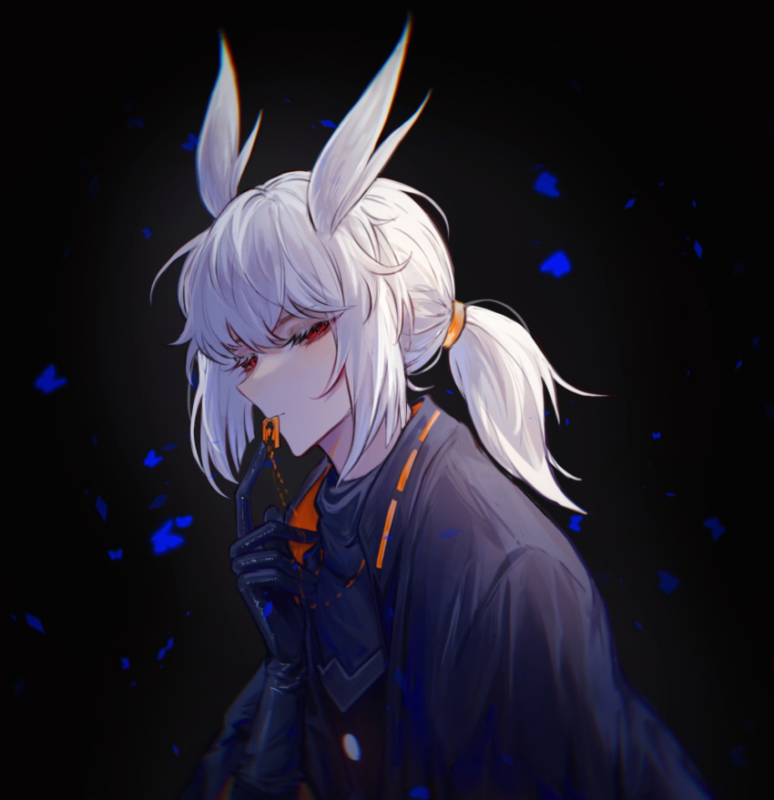1boy, bai_xiao, bangs, bishounen, black_gloves, blue_butterfly, blunt_bangs, bug