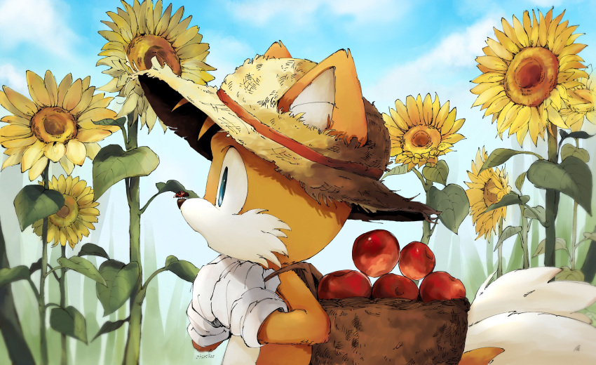 1boy, blue_eyes, blue_sky, flower, fox_boy, furry, furry_male, hat