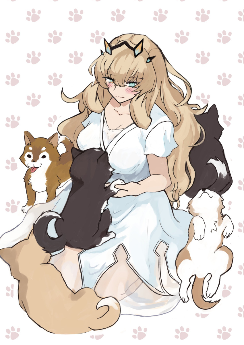 1girl, absurdres, blonde_hair, blush, dog, dress, fairy_knight_gawain_(fate), fate/grand_order, fate_(series), highres, long_hair, maru_(ma-ru8), smile, white_dress