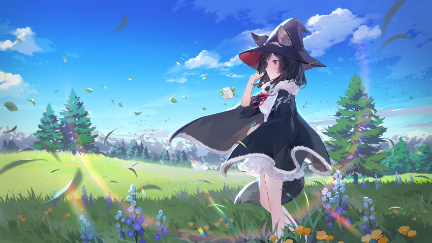 1girl, animal_ears, black_hair, blue_eyes, brown_eyes, chinese_commentary, cloud_horizon, commentary_request