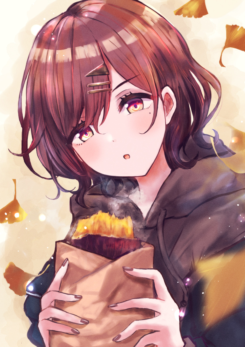 1girl, autumn, bangs, black_hoodie, blurry, blurry_foreground, brown_hair, commentary