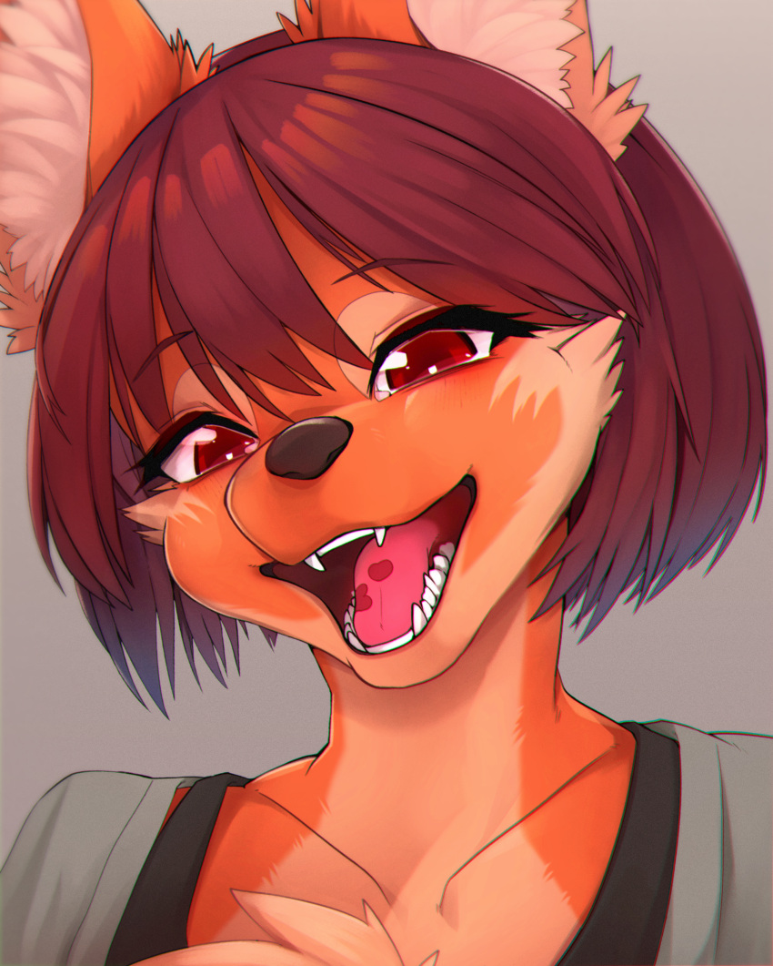 1girl, absurdres, animal_ear_fluff, animal_ears, animal_nose, bangs, black_bra, bob_cut, bra, bra_strap, brown_hair, chinese_commentary, chromatic_aberration, collarbone, commentary, furry, furry_female, grey_background, grey_shirt, half-closed_eyes, happy, head_tilt, highres, looking_at_viewer, multicolored_fur, open_mouth, orange_fur, original, portrait, red_eyes, sharp_teeth, shirt, short_hair, sidelocks, simple_background, smile, snout, solo, teeth, tongue, underwear, white_fur, wolf_ears, wolf_girl, wolf_girl_(yellowparrot), yellowparrot