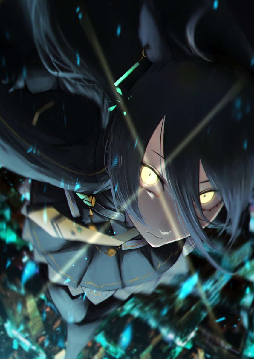 1girl, absurdres, animal_ears, bangs, black_hair, black_jacket, black_skirt, blurry