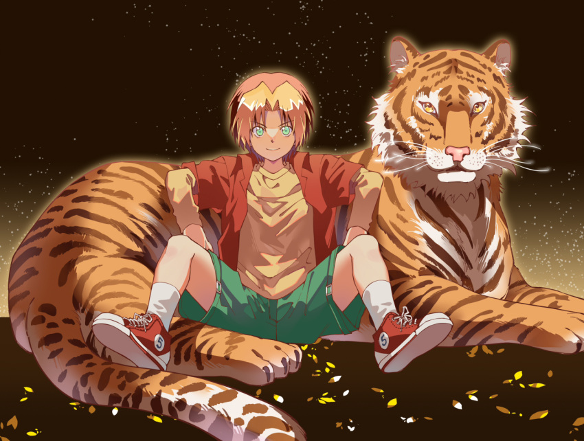 1boy, animal, aqua_eyes, bangs, blonde_hair, brown_background, clothes_writing, cyhgm, green_eyes, green_shorts, hikaru_no_go, jacket, knees_up, leaning_on_animal, light_particles, looking_at_viewer, male_focus, multicolored_hair, petals, red_footwear, red_jacket, redhead, shindou_hikaru, shirt, shoe_soles, shoes, short_hair, shorts, sitting, smile, sneakers, socks, spread_legs, t-shirt, tiger, two-tone_hair, white_socks, yellow_shirt