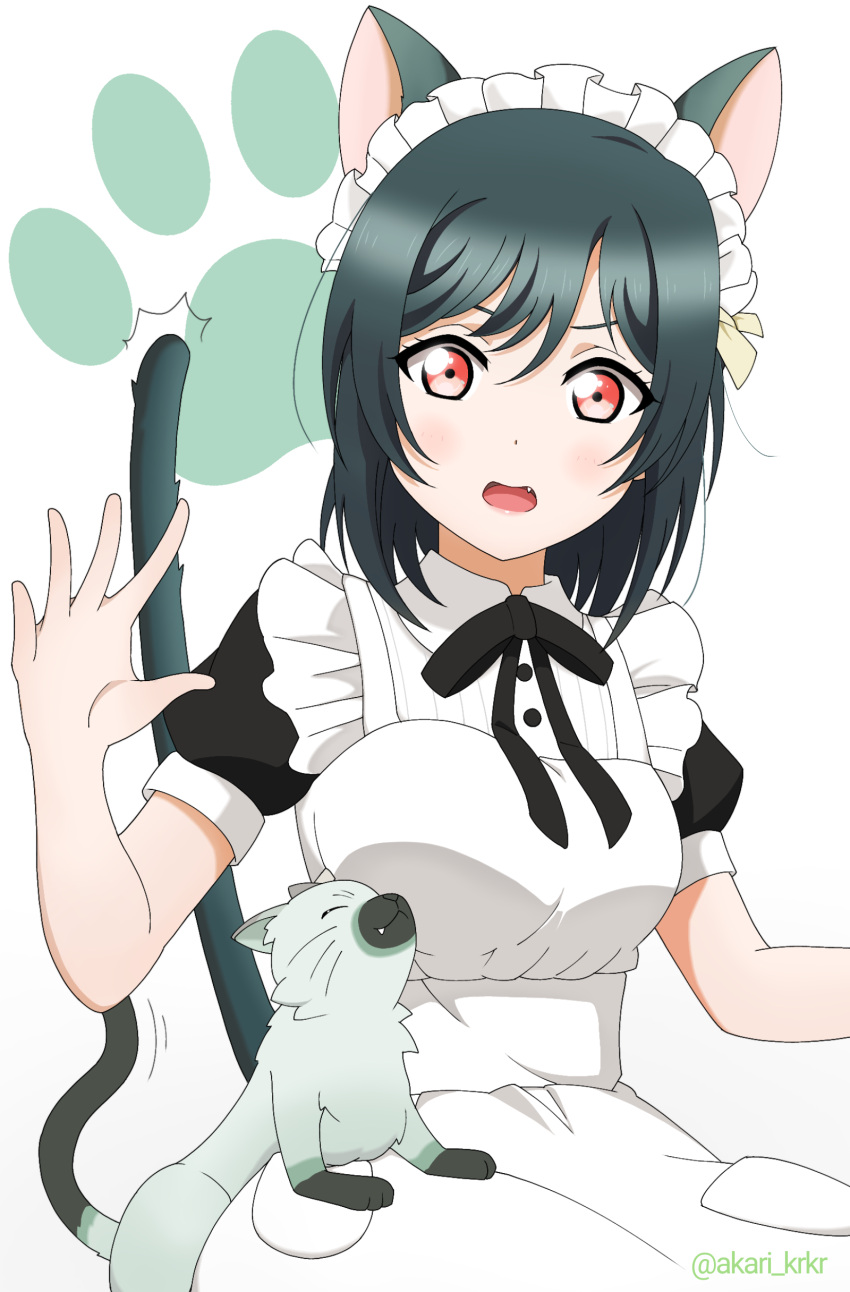 !?, 1girl, absurdres, animal_ears, cat, cat_ears, cat_tail, frills
