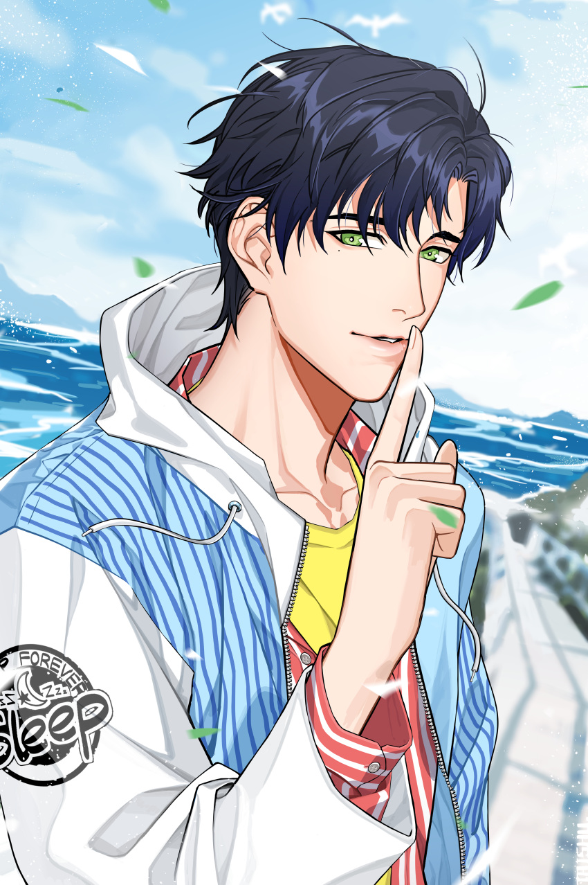 1boy, absurdres, black_hair, blue_sky, day, green_eyes, highres, hood