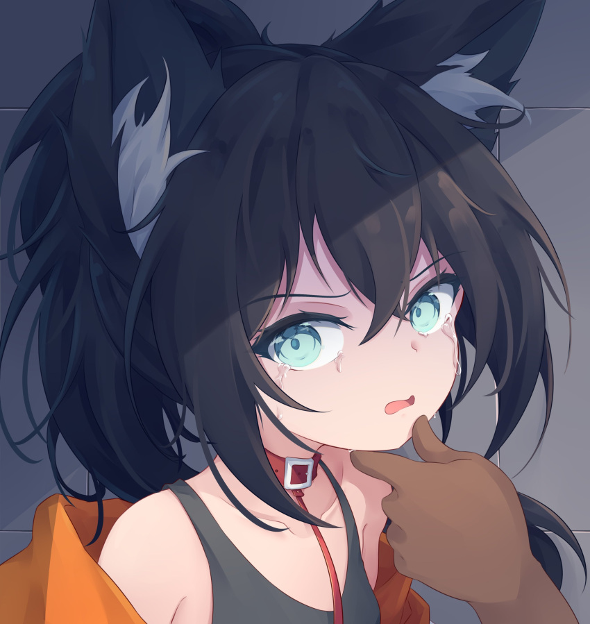 1girl, absurdres, animal_collar, animal_ears, bare_shoulders, black_hair, black_tank_top, blue_eyes