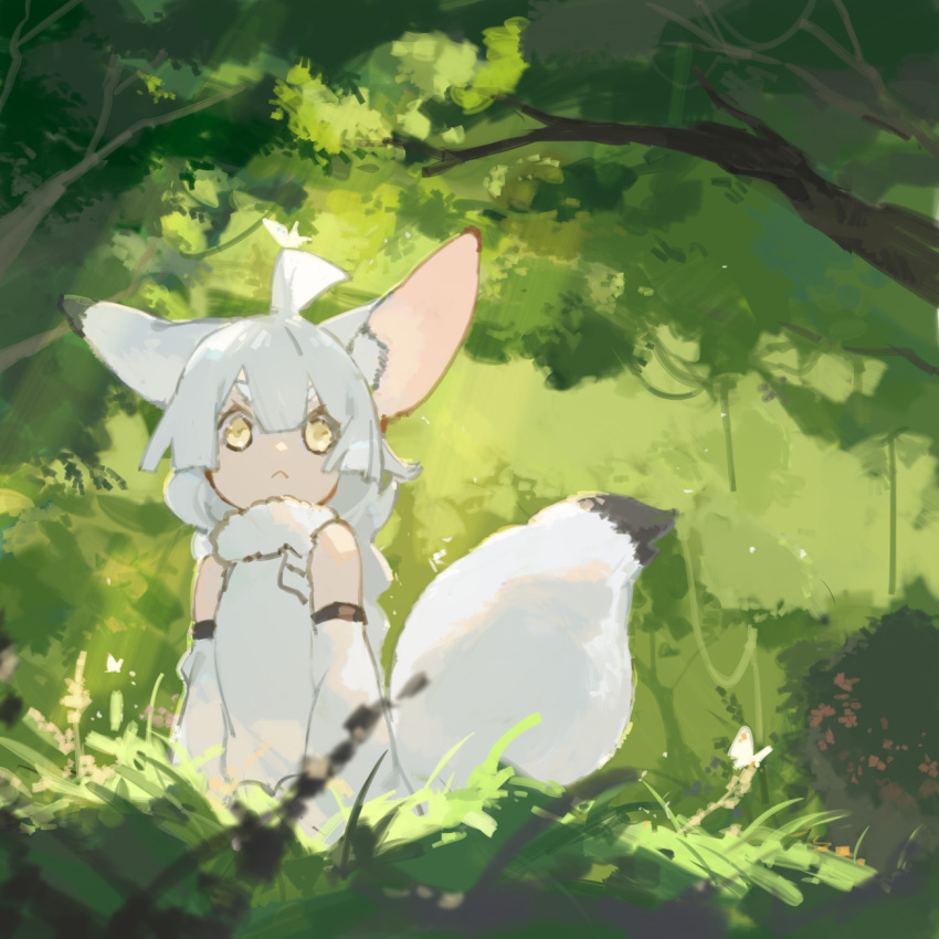 1girl, ahoge, animal_ear_fluff, animal_ears, bangs, bare_shoulders, braid, bug