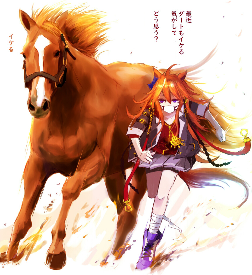 1girl, ahoge, animal_ears, bandaged_leg, bandages, blue_bow, bow, commentary_request