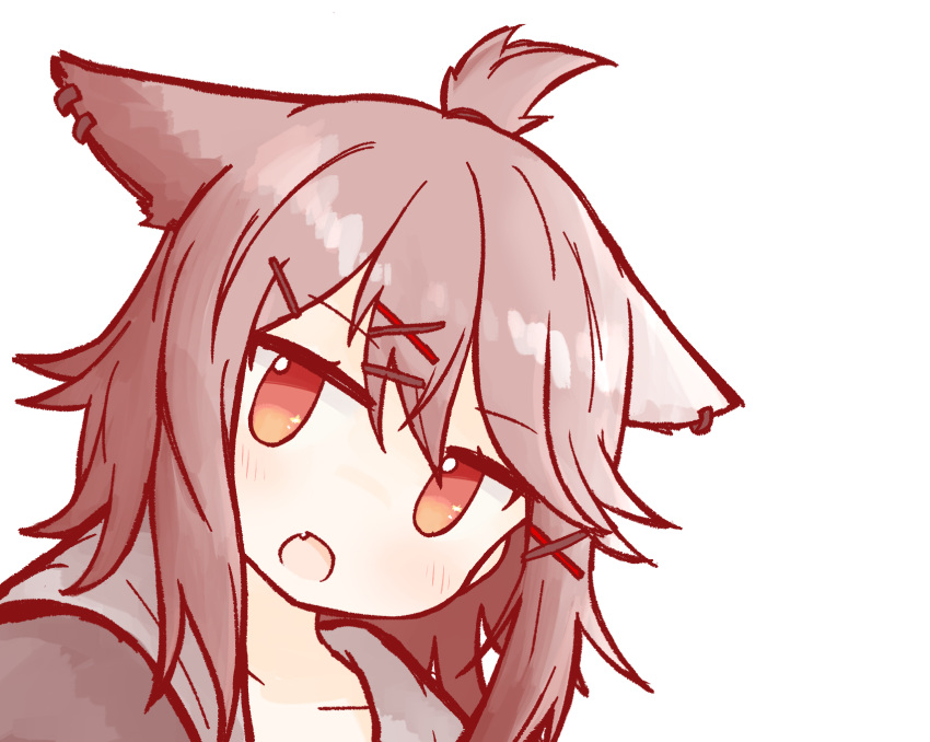 1girl, animal_ears, arknights, brown_hair, brown_jacket, cutter_(arknights), ear_piercing, fang, fox_ears, fox_girl, hair_ornament, hairclip, highres, jacket, looking_at_viewer, moon_sugar, open_mouth, piercing, portrait, red_eyes, short_hair, simple_background, solo, topknot, white_background, x_hair_ornament