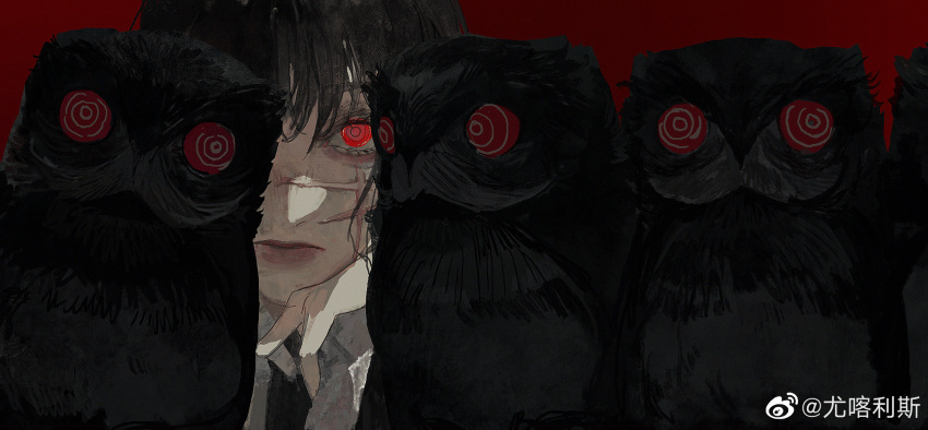 1girl, @_@, bangs, bird, black_hair, chainsaw_man, close-up, commentary